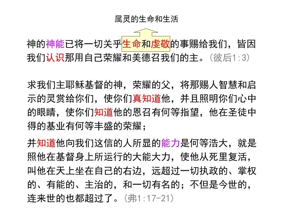 圣经图表——《彼得后书》(图5) 圣经图表——《彼得后书》(图5)