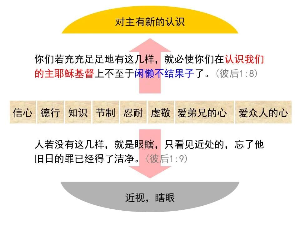 圣经图表——《彼得后书》(图11) 圣经图表——《彼得后书》(图11)