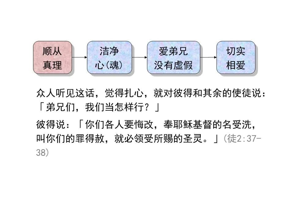 圣经图表——《彼得前书》(图25) 圣经图表——《彼得前书》(图25)