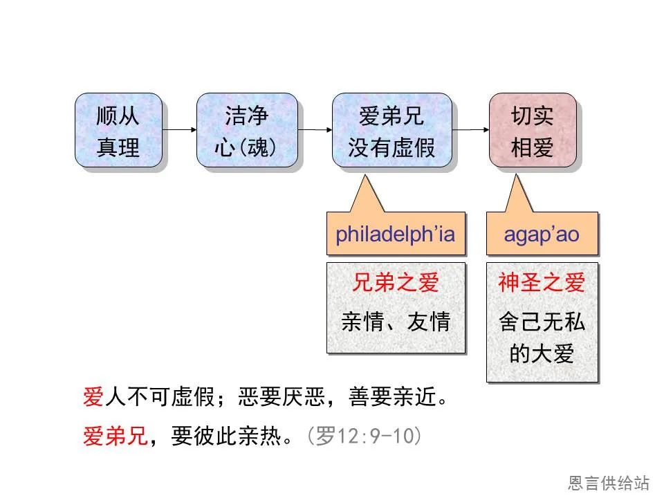 圣经图表——《彼得前书》(图27) 圣经图表——《彼得前书》(图27)