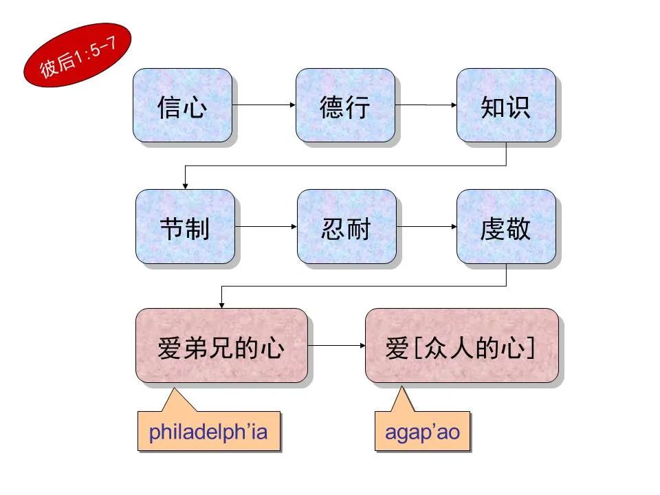 圣经图表——《彼得前书》(图28) 圣经图表——《彼得前书》(图28)