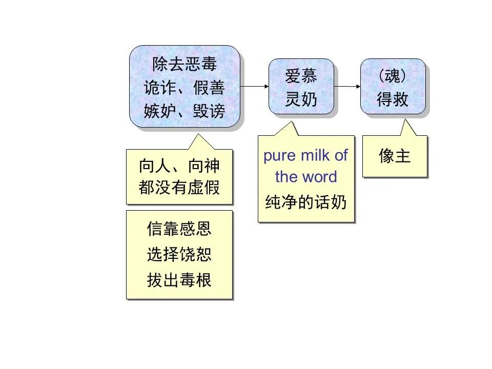 圣经图表——《彼得前书》(图33) 圣经图表——《彼得前书》(图33)