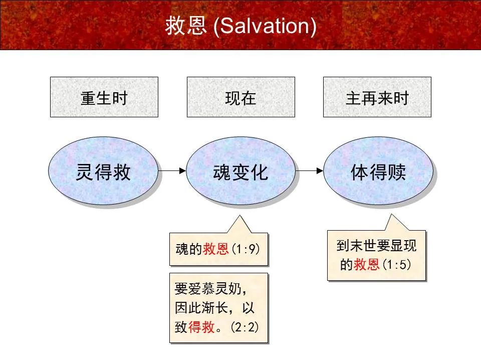圣经图表——《彼得前书》(图10) 圣经图表——《彼得前书》(图10)