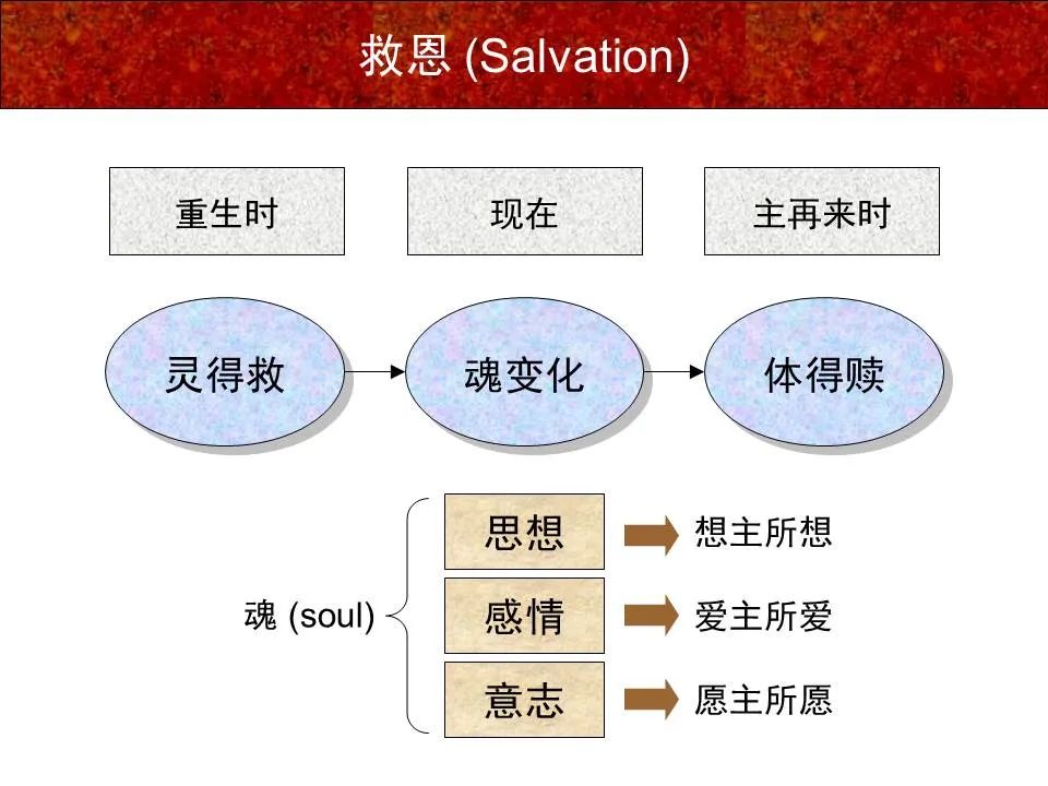 圣经图表——《彼得前书》(图13) 圣经图表——《彼得前书》(图13)