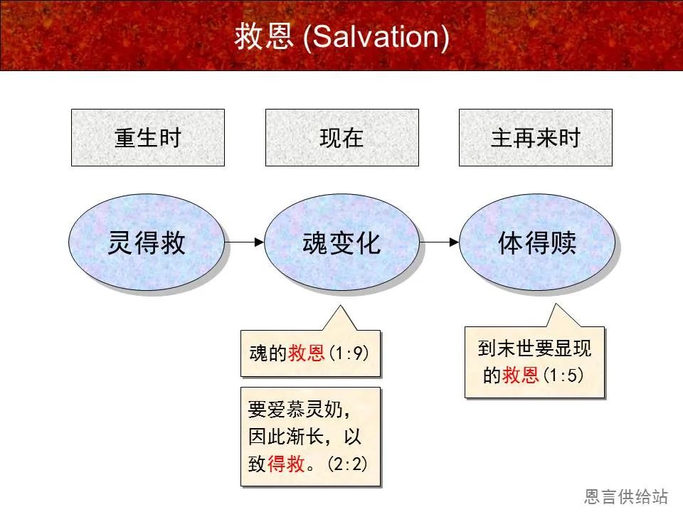 圣经图表——《彼得前书》(图14) 圣经图表——《彼得前书》(图14)