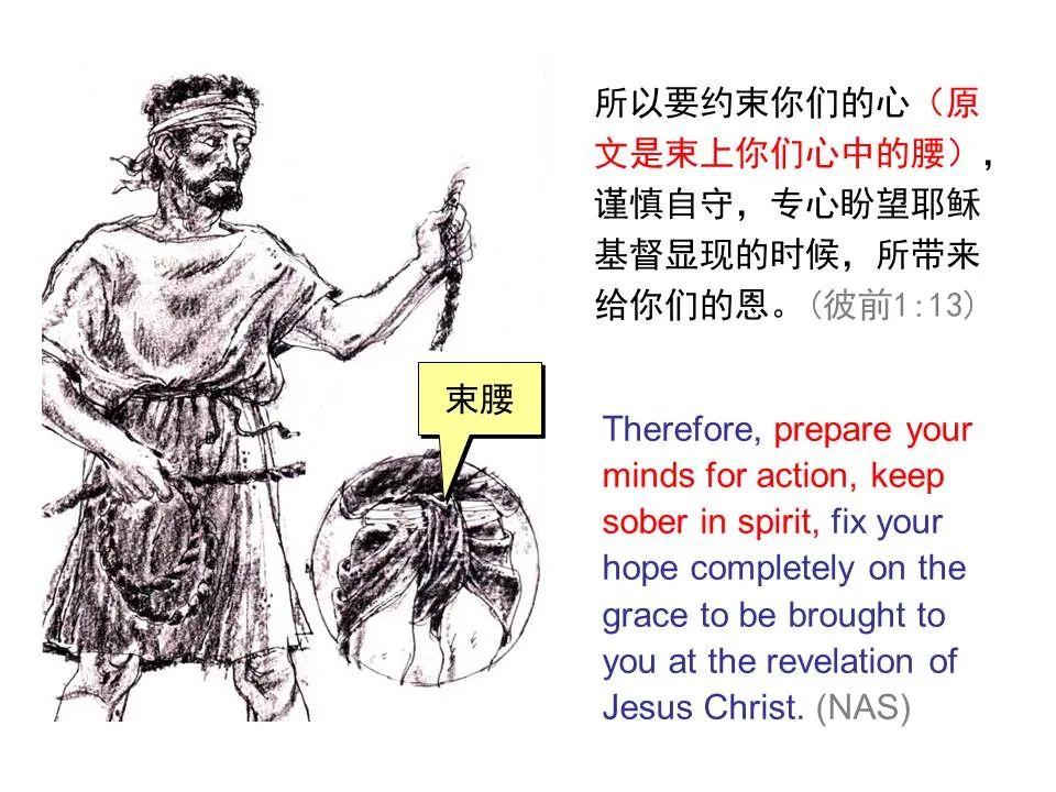 圣经图表——《彼得前书》(图17) 圣经图表——《彼得前书》(图17)