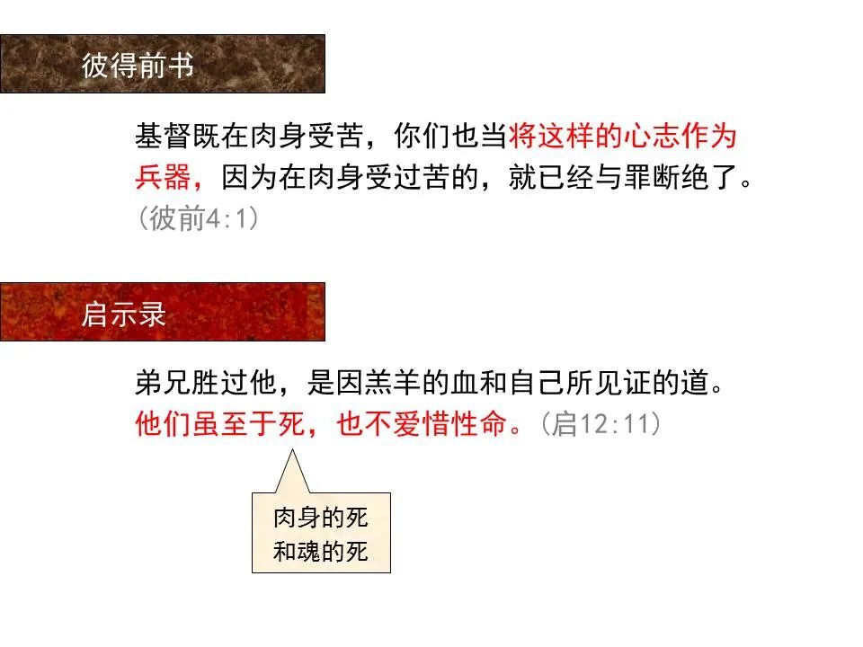 圣经图表——《彼得前书》(图72) 圣经图表——《彼得前书》(图72)