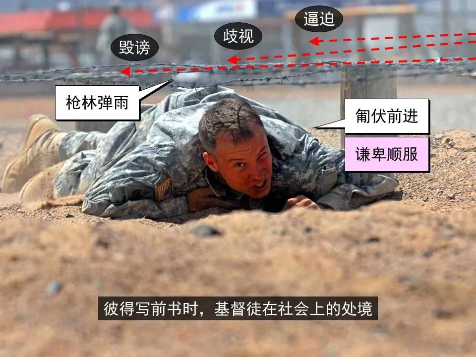 圣经图表——《彼得前书》(图46) 圣经图表——《彼得前书》(图46)