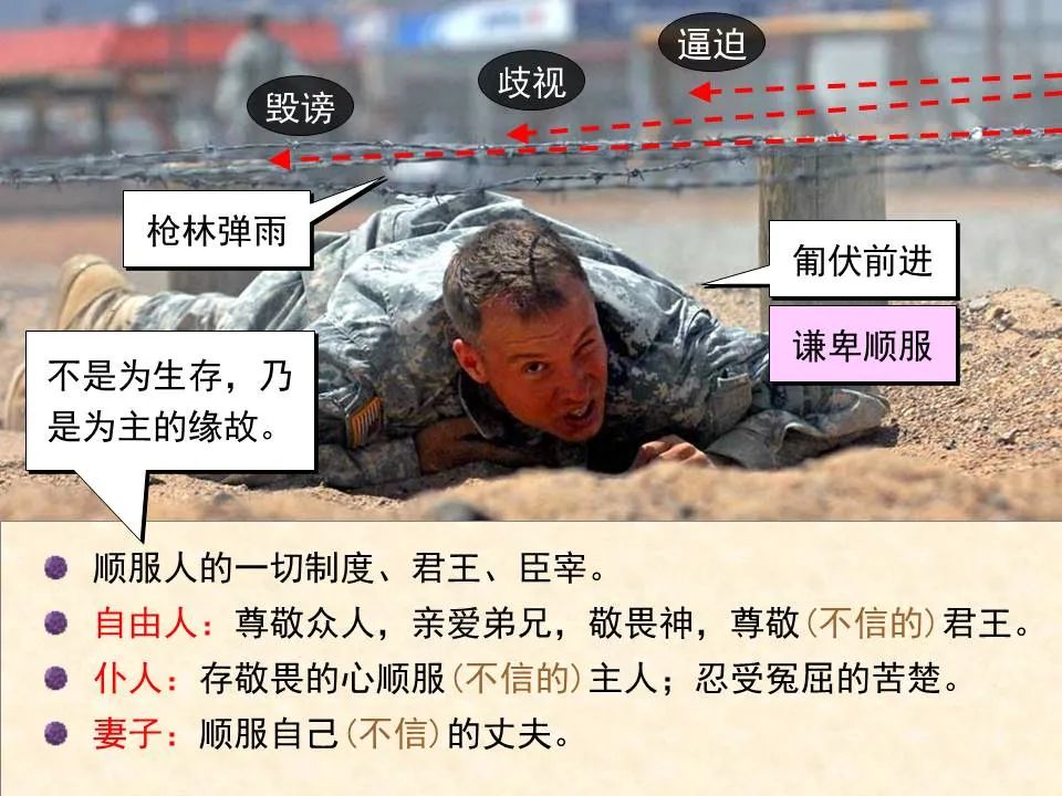 圣经图表——《彼得前书》(图47) 圣经图表——《彼得前书》(图47)