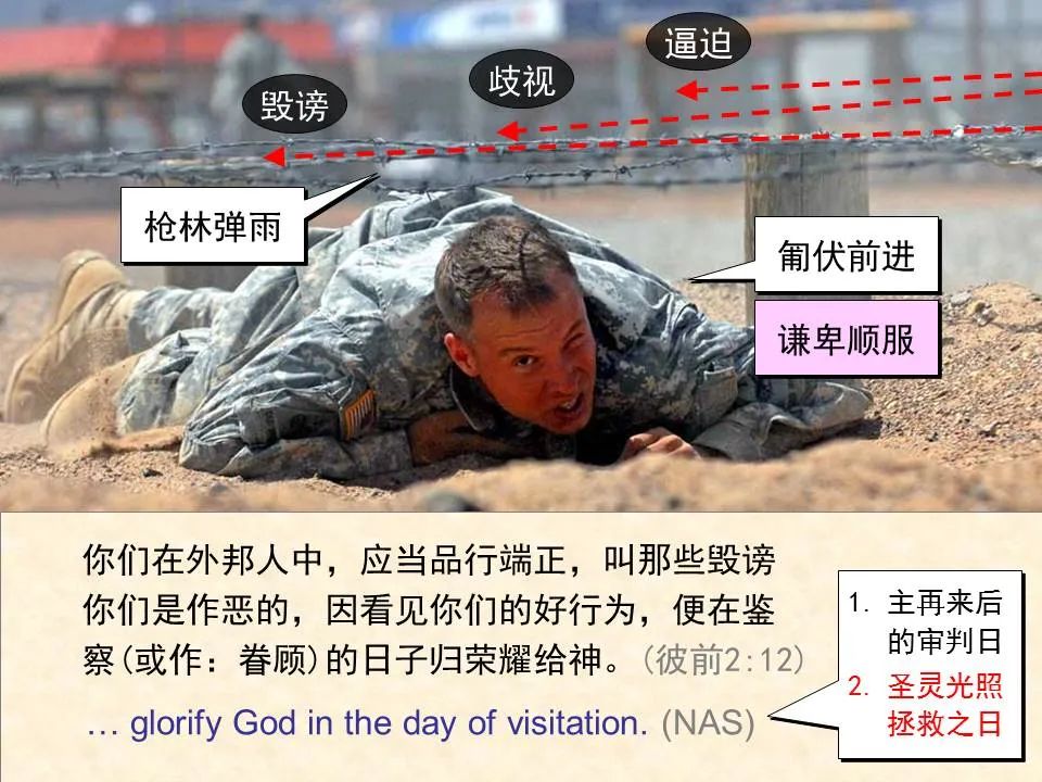 圣经图表——《彼得前书》(图48) 圣经图表——《彼得前书》(图48)