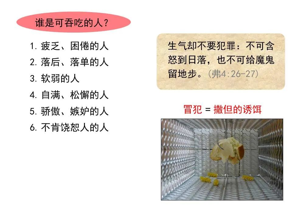 圣经图表——《彼得前书》(图94) 圣经图表——《彼得前书》(图94)