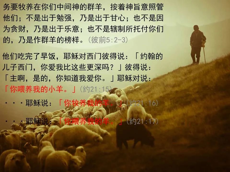 圣经图表——《彼得前书》(图85) 圣经图表——《彼得前书》(图85)