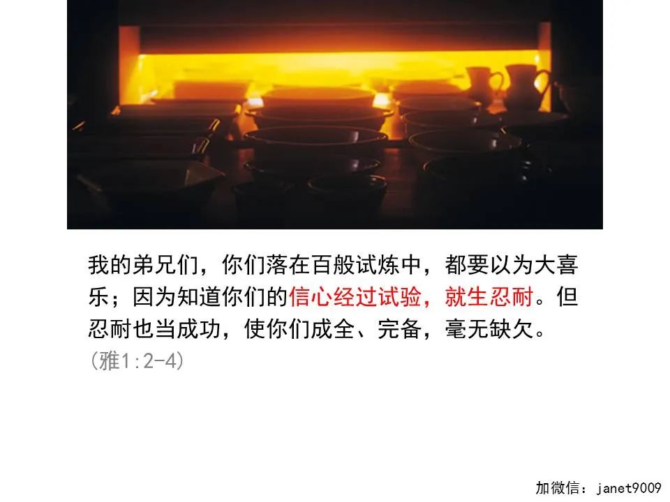 圣经图表——《雅各书》(图6) 圣经图表——《雅各书》(图6)