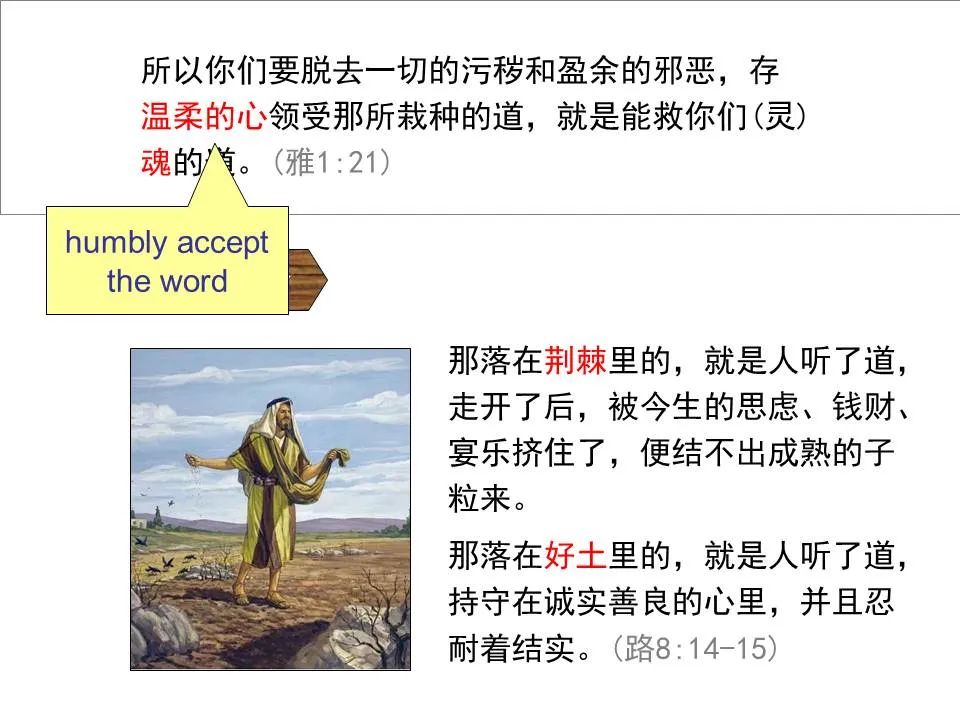 圣经图表——《雅各书》(图43) 圣经图表——《雅各书》(图43)