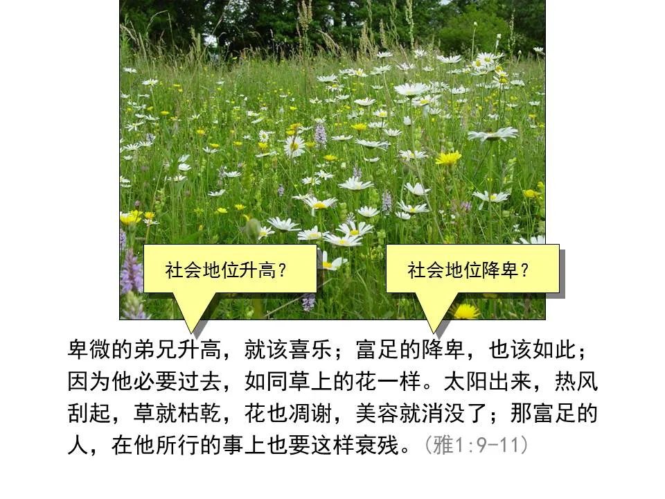 圣经图表——《雅各书》(图19) 圣经图表——《雅各书》(图19)