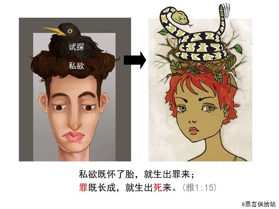 圣经图表——《雅各书》(图24) 圣经图表——《雅各书》(图24)