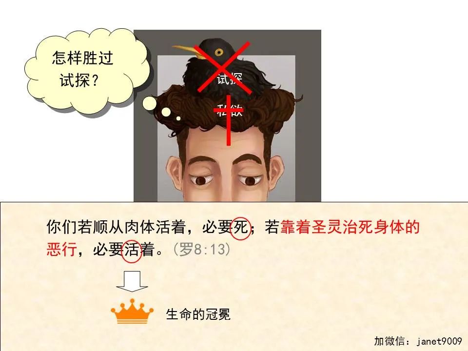 圣经图表——《雅各书》(图27) 圣经图表——《雅各书》(图27)