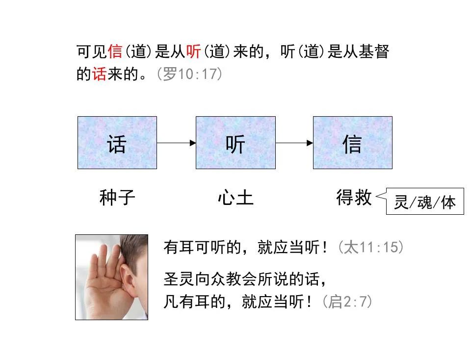 圣经图表——《雅各书》(图32) 圣经图表——《雅各书》(图32)