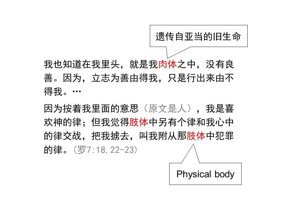 圣经图表——《雅各书》(图76) 圣经图表——《雅各书》(图76)