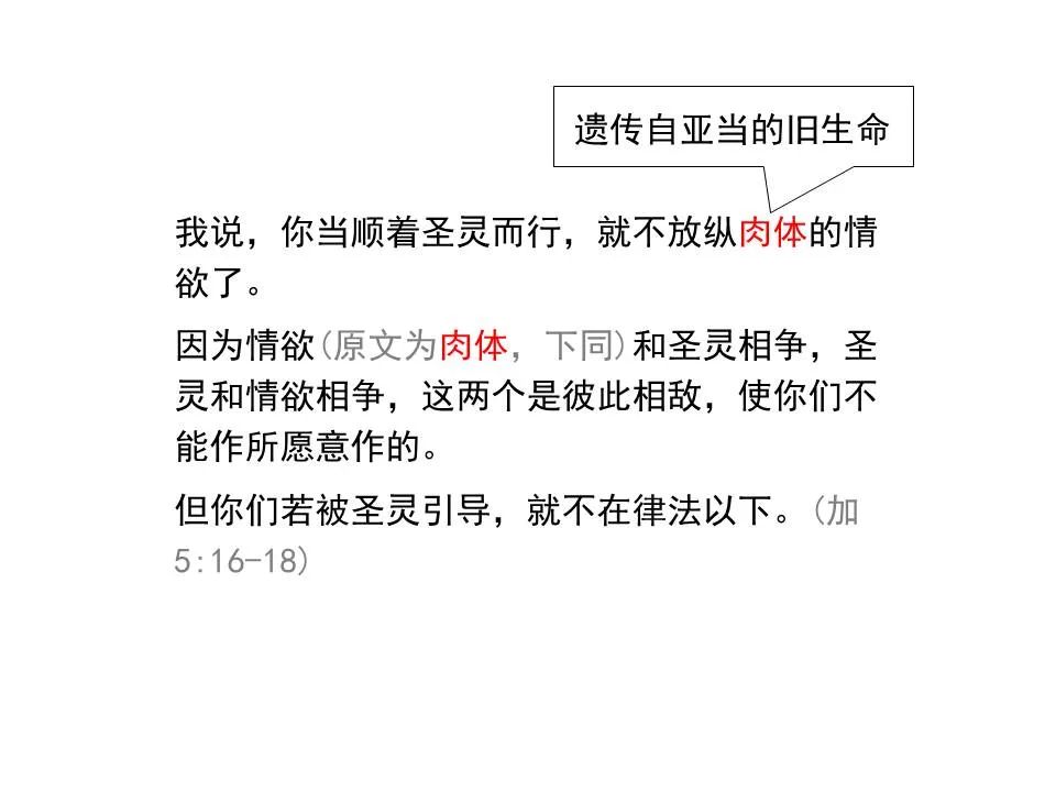 圣经图表——《雅各书》(图77) 圣经图表——《雅各书》(图77)