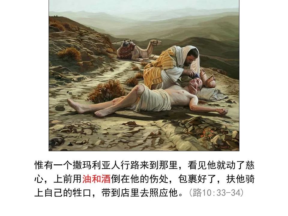 圣经图表——《雅各书》(图103) 圣经图表——《雅各书》(图103)