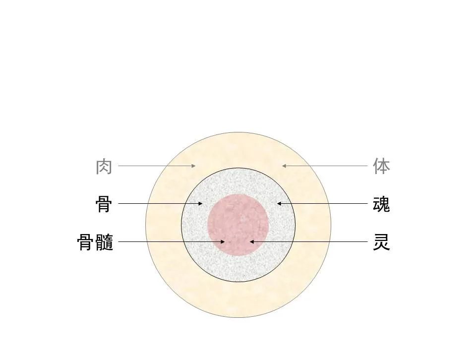 圣经图表——《希伯来书》上(图27) 圣经图表——《希伯来书》上(图27)