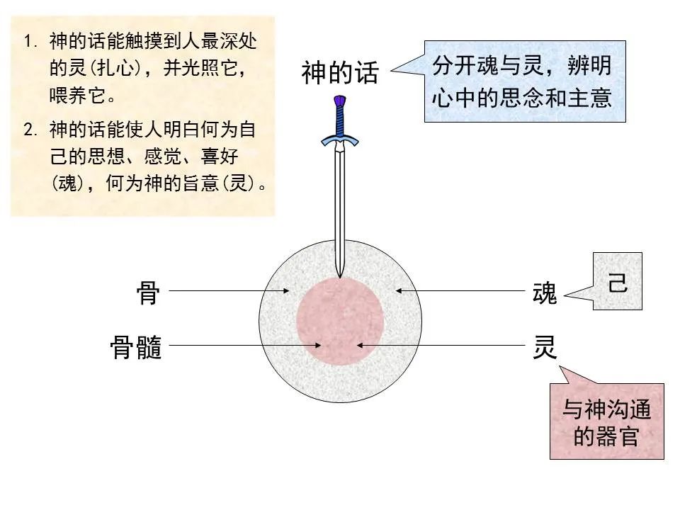 圣经图表——《希伯来书》上(图30) 圣经图表——《希伯来书》上(图30)