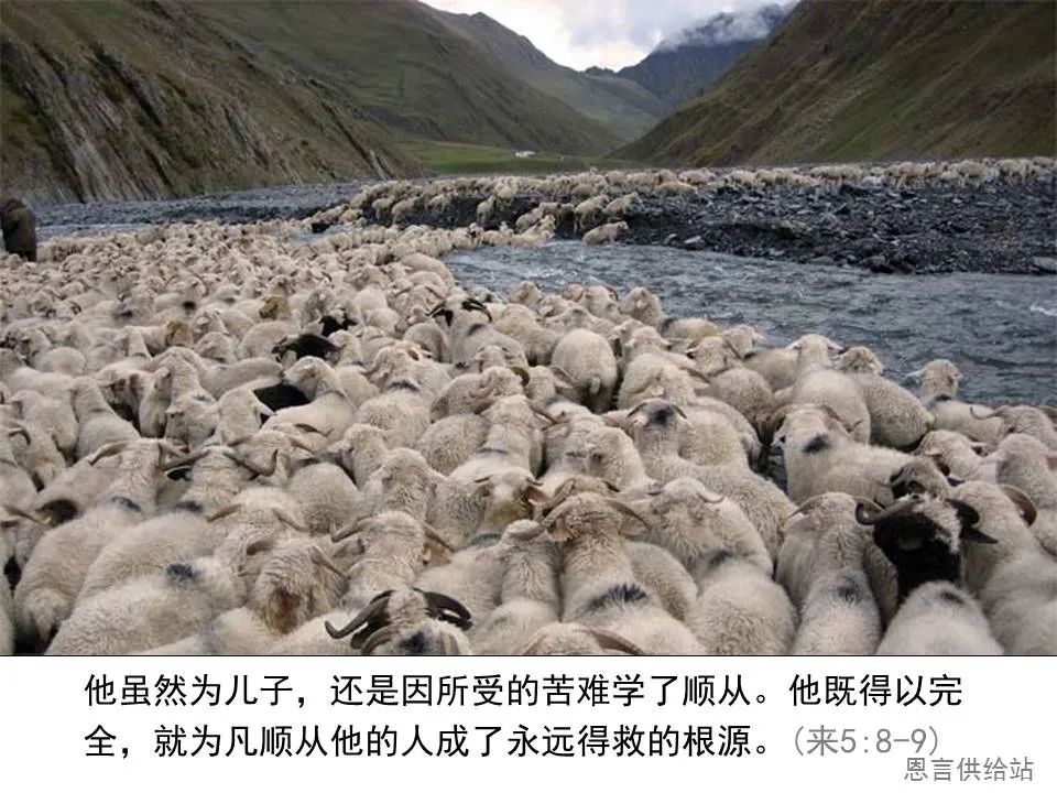 圣经图表——《希伯来书》上(图48) 圣经图表——《希伯来书》上(图48)