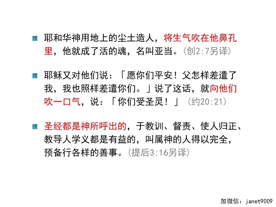 圣经图表——《提摩太后书》(图21) 圣经图表——《提摩太后书》(图21)