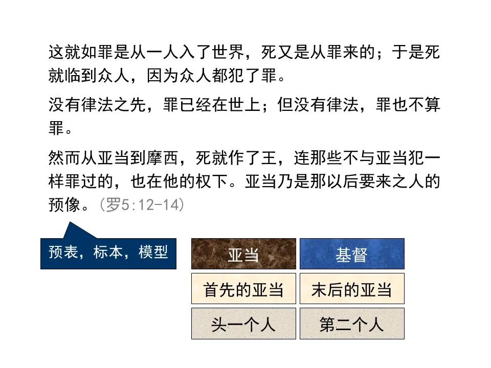 圣经图表——《罗马书》(图42) 圣经图表——《罗马书》(图42)