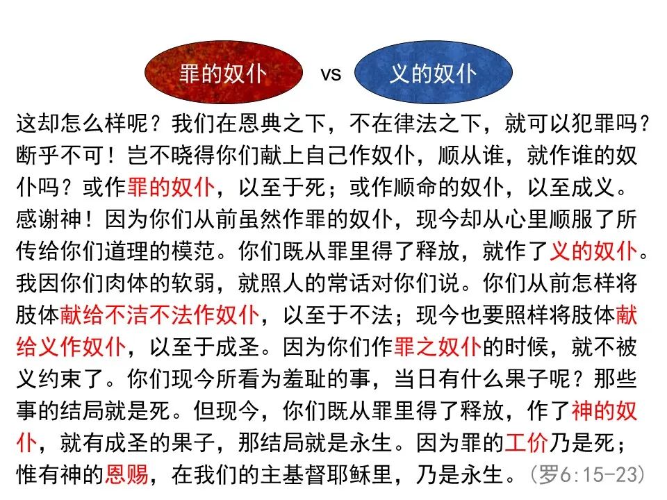 圣经图表——《罗马书》(图48) 圣经图表——《罗马书》(图48)