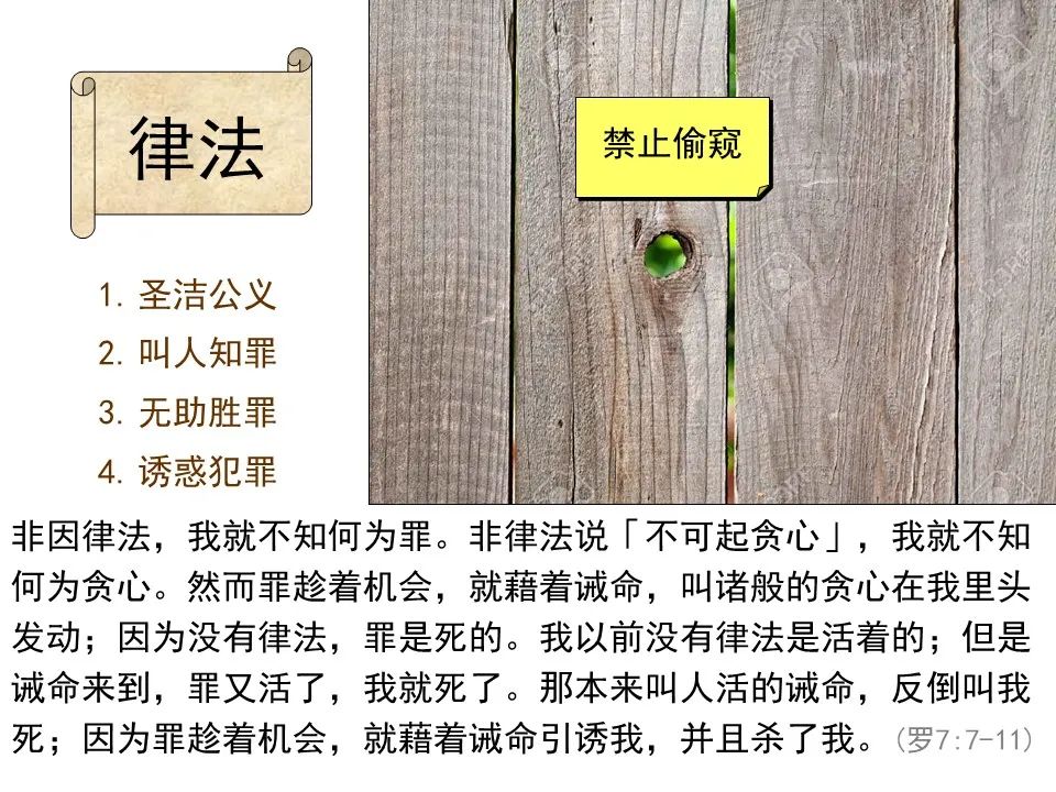 圣经图表——《罗马书》(图60) 圣经图表——《罗马书》(图60)