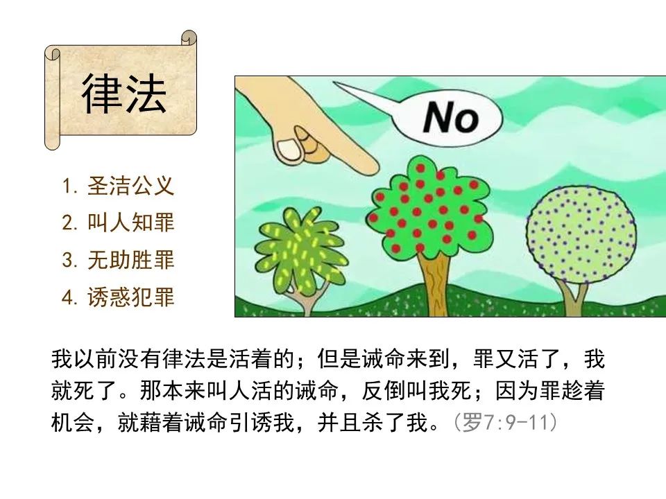 圣经图表——《罗马书》(图61) 圣经图表——《罗马书》(图61)