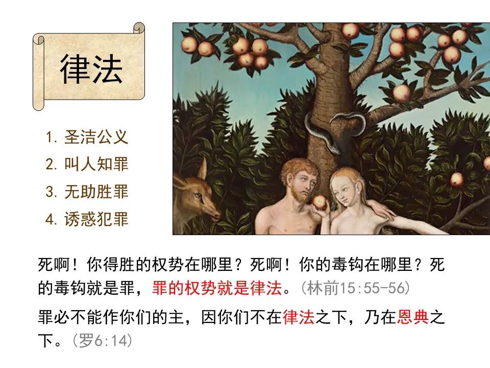 圣经图表——《罗马书》(图62) 圣经图表——《罗马书》(图62)