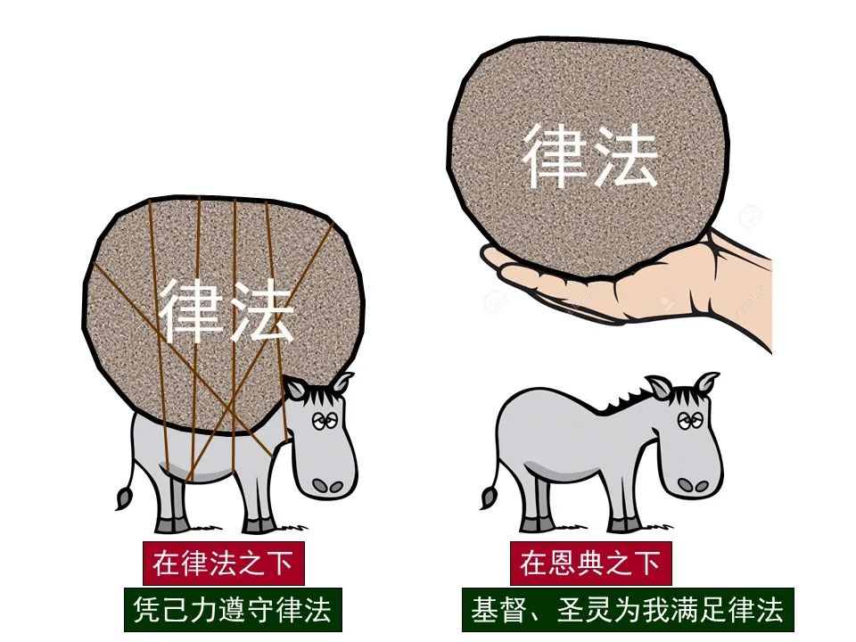 圣经图表——《罗马书》(图63) 圣经图表——《罗马书》(图63)