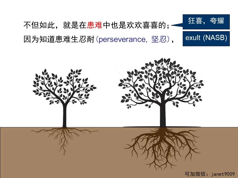圣经图表——《罗马书》(图30) 圣经图表——《罗马书》(图30)