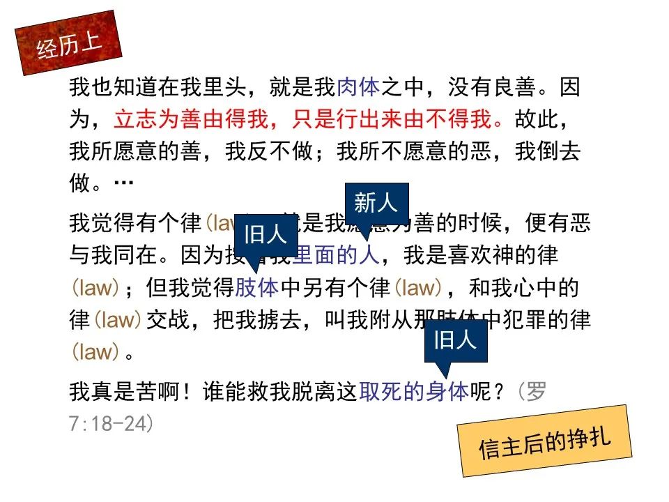 圣经图表——《罗马书》(图80) 圣经图表——《罗马书》(图80)