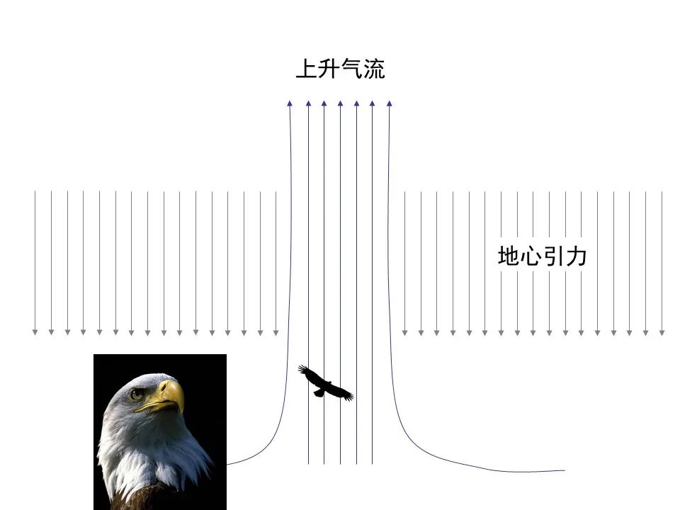 圣经图表——《罗马书》(图82) 圣经图表——《罗马书》(图82)