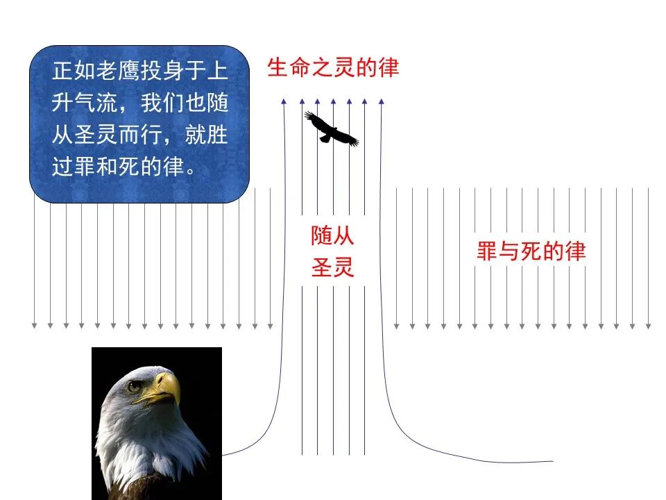 圣经图表——《罗马书》(图83) 圣经图表——《罗马书》(图83)