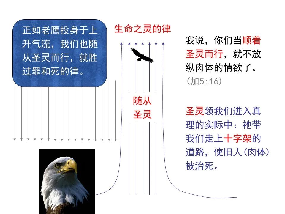 圣经图表——《罗马书》(图84) 圣经图表——《罗马书》(图84)