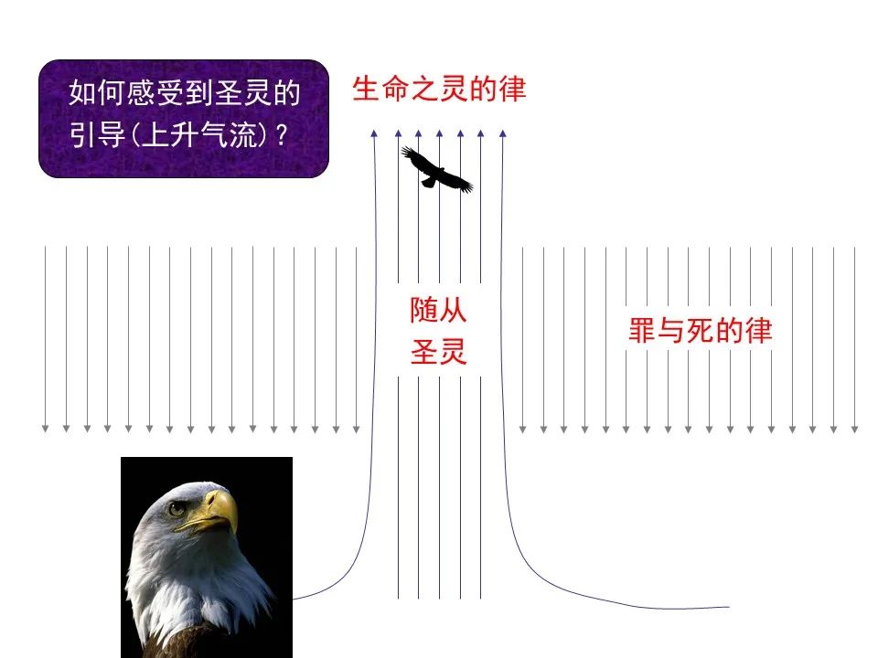 圣经图表——《罗马书》(图85) 圣经图表——《罗马书》(图85)