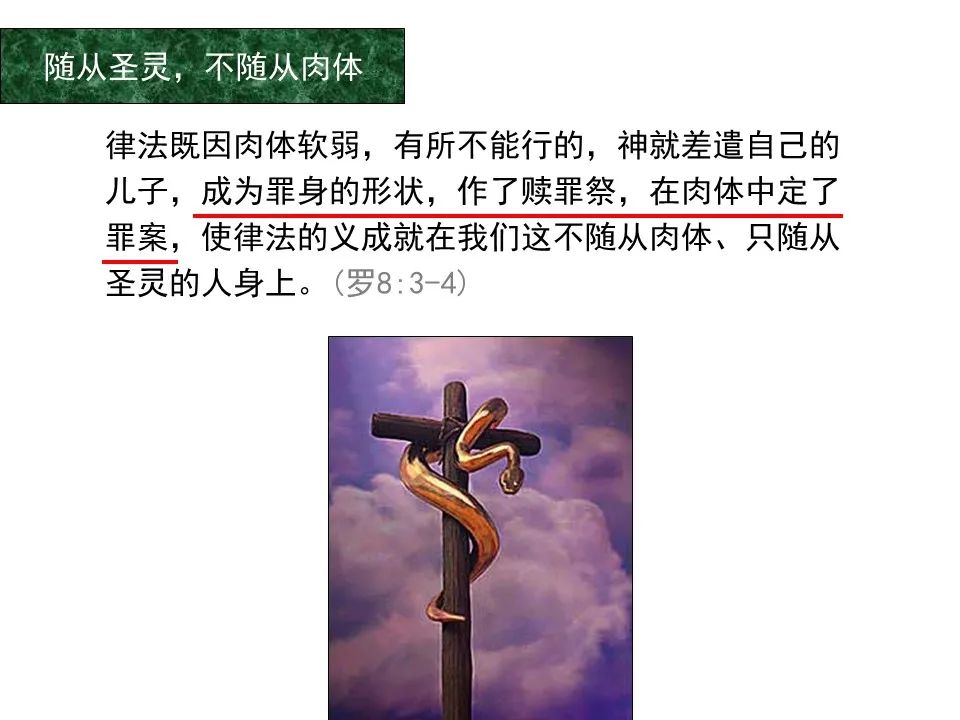 圣经图表——《罗马书》(图92) 圣经图表——《罗马书》(图92)