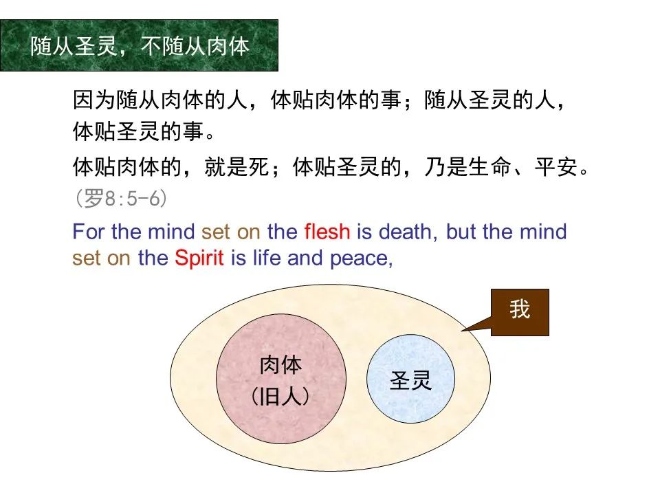 圣经图表——《罗马书》(图95) 圣经图表——《罗马书》(图95)