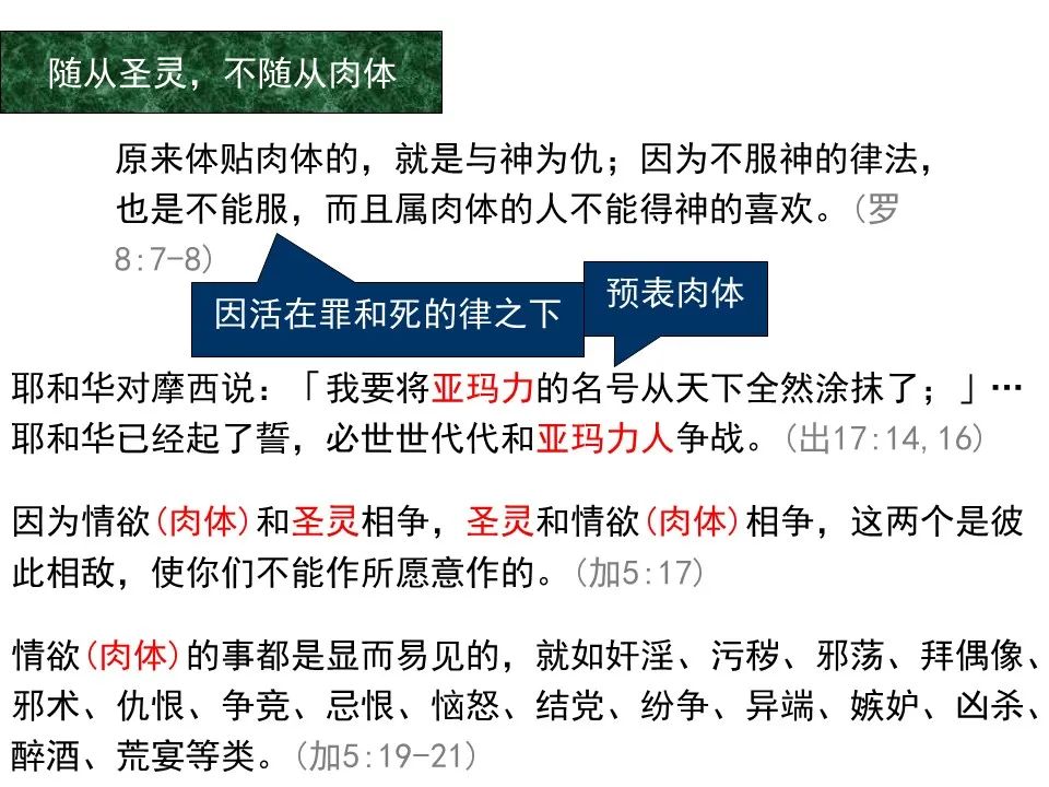 圣经图表——《罗马书》(图98) 圣经图表——《罗马书》(图98)
