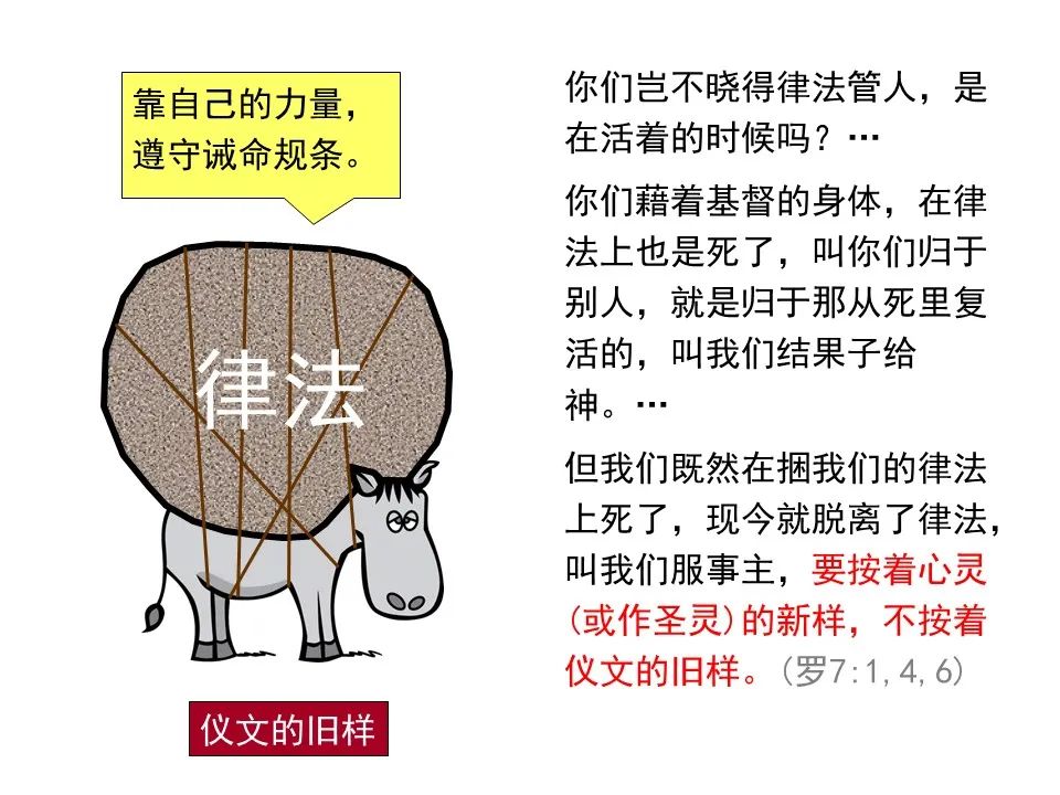 圣经图表——《罗马书》(图65) 圣经图表——《罗马书》(图65)