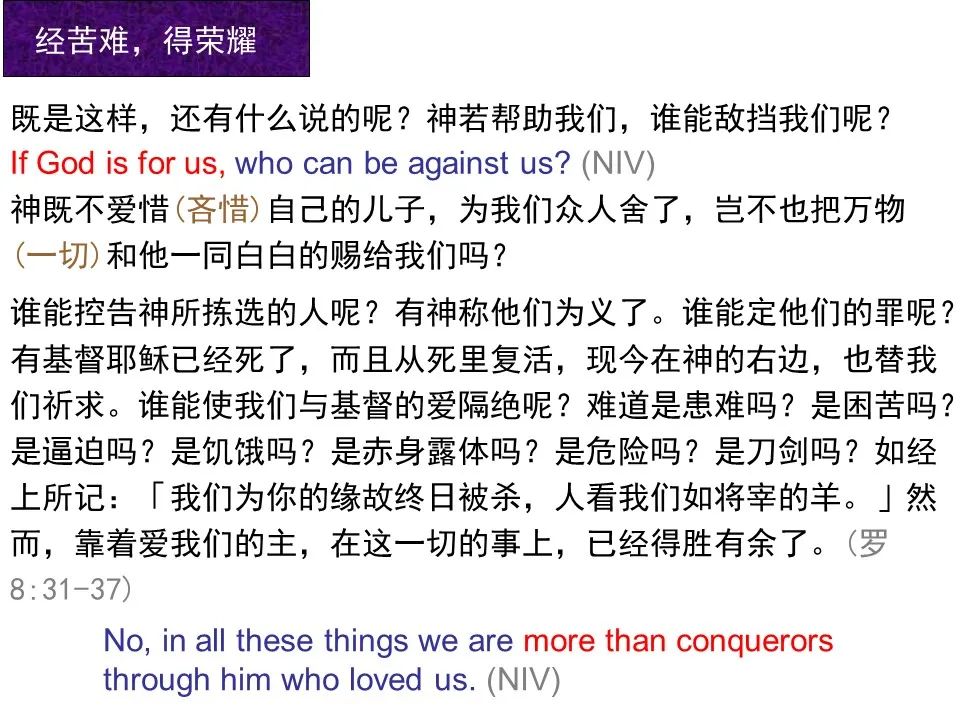 圣经图表——《罗马书》(图114) 圣经图表——《罗马书》(图114)