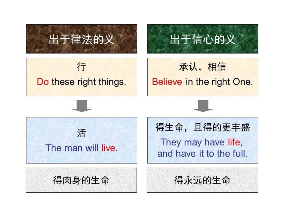 圣经图表——《罗马书》(图124) 圣经图表——《罗马书》(图124)