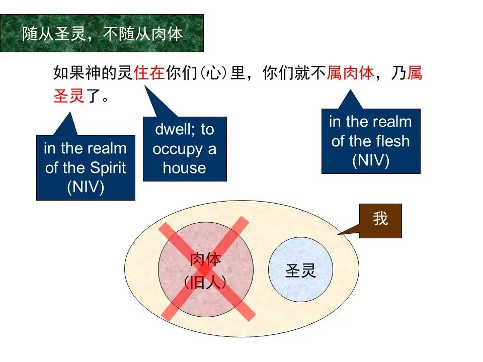 圣经图表——《罗马书》(图100) 圣经图表——《罗马书》(图100)