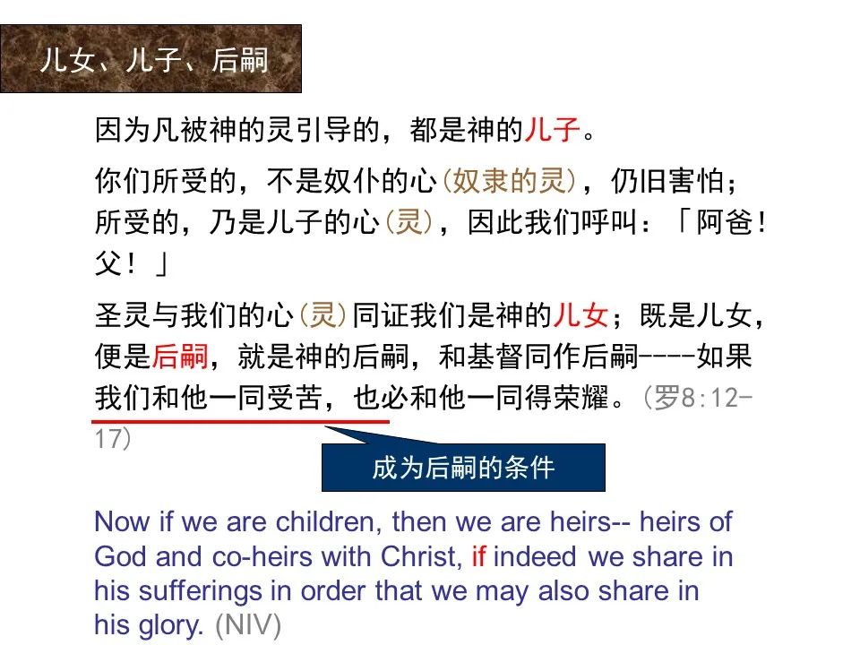 圣经图表——《罗马书》(图106) 圣经图表——《罗马书》(图106)