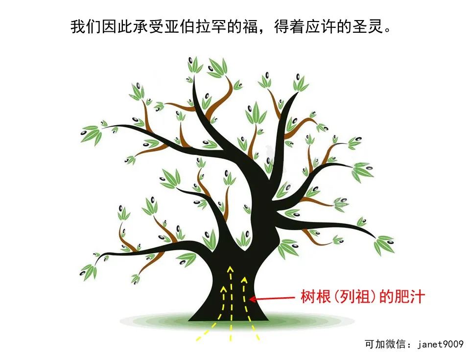 圣经图表——《罗马书》(图133) 圣经图表——《罗马书》(图133)